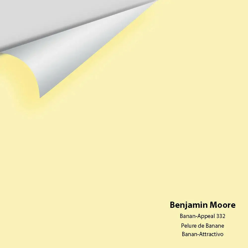 Big Paint Chip - Banan-Appeal 332